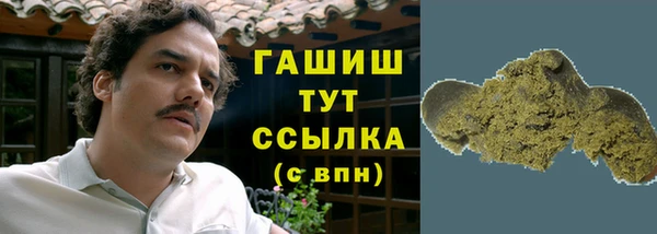 спиды Бородино