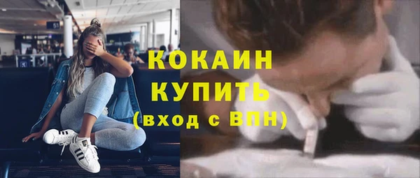 спиды Бородино