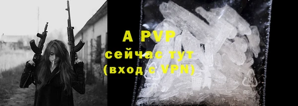 спиды Бородино
