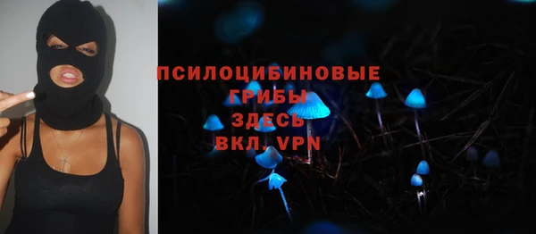 спиды Бородино