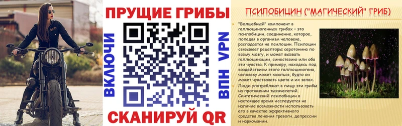 Псилоцибиновые грибы Magic Shrooms  Купить  Пошехонье 