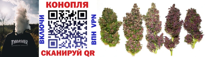 Купить закладки  Пошехонье  Шишки марихуана THC 21% 